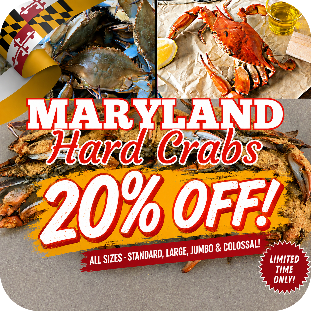 Image Shop Maryland Steamed Crabs